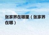 張家界在哪里（張家界在哪）