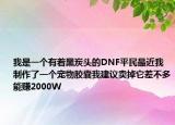 我是一個有著黑炭頭的DNF平民最近我制作了一個寵物膠囊我建議賣掉它差不多能賺2000W