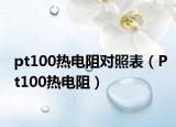 pt100熱電阻對照表（Pt100熱電阻）