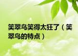 笑翠鳥笑得太狂了（笑翠鳥的特點(diǎn)）