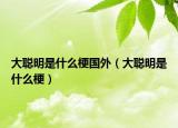 大聰明是什么梗國(guó)外（大聰明是什么梗）