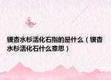 銀杏水杉活化石指的是什么（銀杏水杉活化石什么意思）