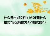 什么是mdf文件（MDF是什么格式?怎么轉換為AVI格式的?）