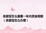 余額寶怎么查看一年內(nèi)資金明細(xì)（余額寶怎么辦理）