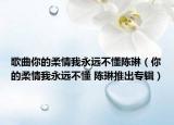 歌曲你的柔情我永遠(yuǎn)不懂陳琳（你的柔情我永遠(yuǎn)不懂 陳琳推出專輯）