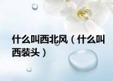 什么叫西北風(fēng)（什么叫西裝頭）