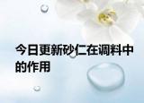 今日更新砂仁在調(diào)料中的作用