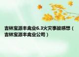 吉林寶源豐禽業(yè)6.3火災事故感想（吉林寶源豐禽業(yè)公司）