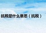 抗稅是什么意思（抗稅）