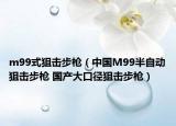 m99式狙擊步槍（中國M99半自動狙擊步槍 國產大口徑狙擊步槍）