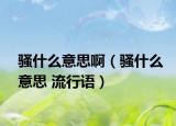 騷什么意思?。}什么意思 流行語）