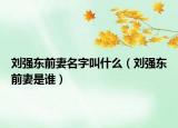 劉強(qiáng)東前妻名字叫什么（劉強(qiáng)東前妻是誰）