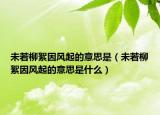 未若柳絮因風(fēng)起的意思是（未若柳絮因風(fēng)起的意思是什么）