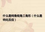 什么是鈍角銳角三角形（什么是鈍化反應(yīng)）