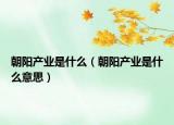 朝陽產(chǎn)業(yè)是什么（朝陽產(chǎn)業(yè)是什么意思）
