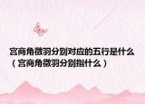 宮商角徵羽分別對(duì)應(yīng)的五行是什么（宮商角徵羽分別指什么）