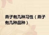 燕子有幾種習性（燕子有幾種品種）
