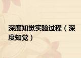 深度知覺實驗過程（深度知覺）