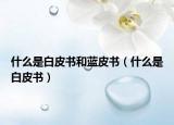 什么是白皮書和藍(lán)皮書（什么是白皮書）