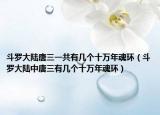 斗羅大陸唐三一共有幾個(gè)十萬年魂環(huán)（斗羅大陸中唐三有幾個(gè)十萬年魂環(huán)）