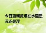 今日更新黃瓜在水里是沉還是浮