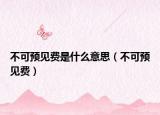 不可預見費是什么意思（不可預見費）