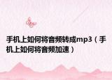 手機(jī)上如何將音頻轉(zhuǎn)成mp3（手機(jī)上如何將音頻加速）