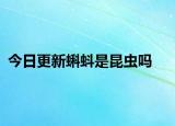 今日更新蝌蚪是昆蟲嗎