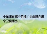 少年派在哪個(gè)衛(wèi)視（少年派在哪個(gè)衛(wèi)視播出）
