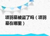 項(xiàng)羽墓被盜了嗎（項(xiàng)羽墓在哪里）