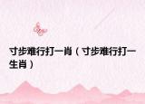 寸步難行打一肖（寸步難行打一生肖）