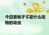 今日更新孑孓是什么動(dòng)物的幼蟲(chóng)