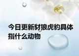 今日更新豺狼虎豹具體指什么動(dòng)物