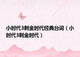 小時(shí)代3刺金時(shí)代經(jīng)典臺(tái)詞（小時(shí)代3刺金時(shí)代）