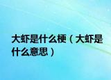 大蝦是什么梗（大蝦是什么意思）