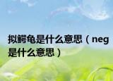 擬鱷龜是什么意思（neg是什么意思）