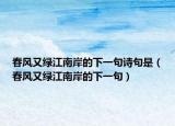 春風(fēng)又綠江南岸的下一句詩(shī)句是（春風(fēng)又綠江南岸的下一句）