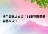 格蘭森林大火災(zāi)（51麥克默里堡森林火災(zāi)）