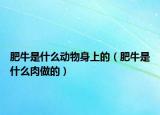肥牛是什么動物身上的（肥牛是什么肉做的）