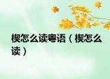 楔怎么讀粵語(yǔ)（楔怎么讀）