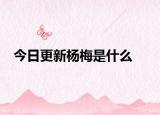 今日更新楊梅是什么