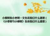 小柳樹和小棗樹一文告訴我們什么道理（《小棗樹與小柳樹》告訴我們什么道理）