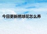 今日更新繡球花怎么養(yǎng)