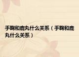 手鞠和鹿丸什么關(guān)系（手鞠和鹿丸什么關(guān)系）