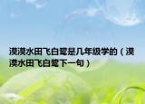 漠漠水田飛白鷺是幾年級學的（漠漠水田飛白鷺下一句）