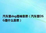汽車里dsg是啥意思（汽車里DSG是什么意思）