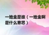 一地金是誰(shuí)（一地金啊是什么意思）