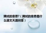 拂拭的意思?（拂拭的意思是什么語文天涯問答）