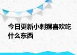 今日更新小刺猬喜歡吃什么東西