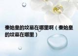 秦始皇的墳?zāi)乖谀睦锇。ㄇ厥蓟实膲災(zāi)乖谀睦铮? /></span></a>
                        <h2><a href=